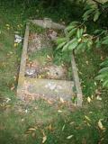 image of grave number 67363